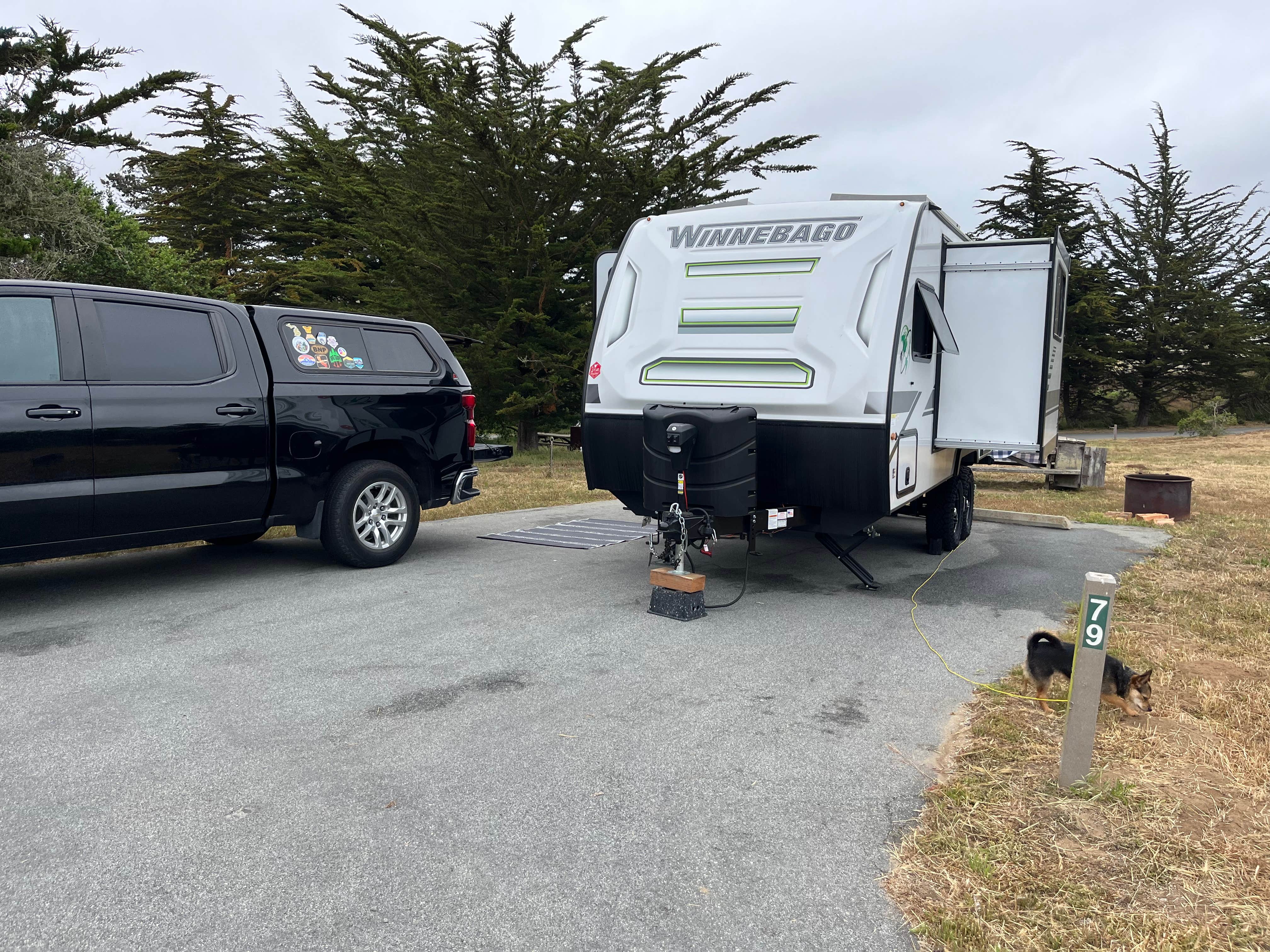 Alma L.'s photo of camping with pets at Sunset State Beach near Monterey, CA