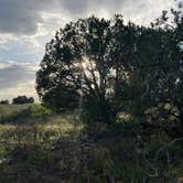 Review photo of Flower Pot USFS Dispersed by Rose C., May 30, 2023