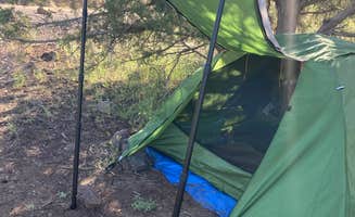 Rose C.'s photo at Flower Pot USFS Dispersed near Camp Verde, AZ