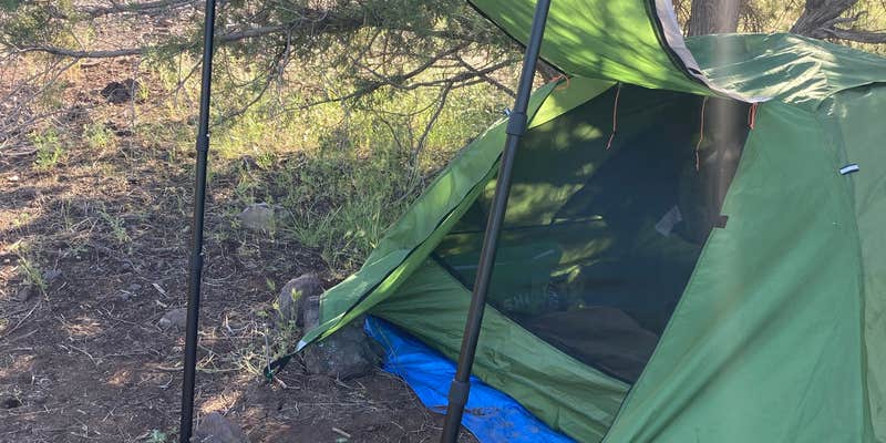 Camper submitted image from Flower Pot USFS Dispersed