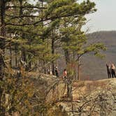 Review photo of Ozark Campground — Buffalo National River by Ber M., October 13, 2018