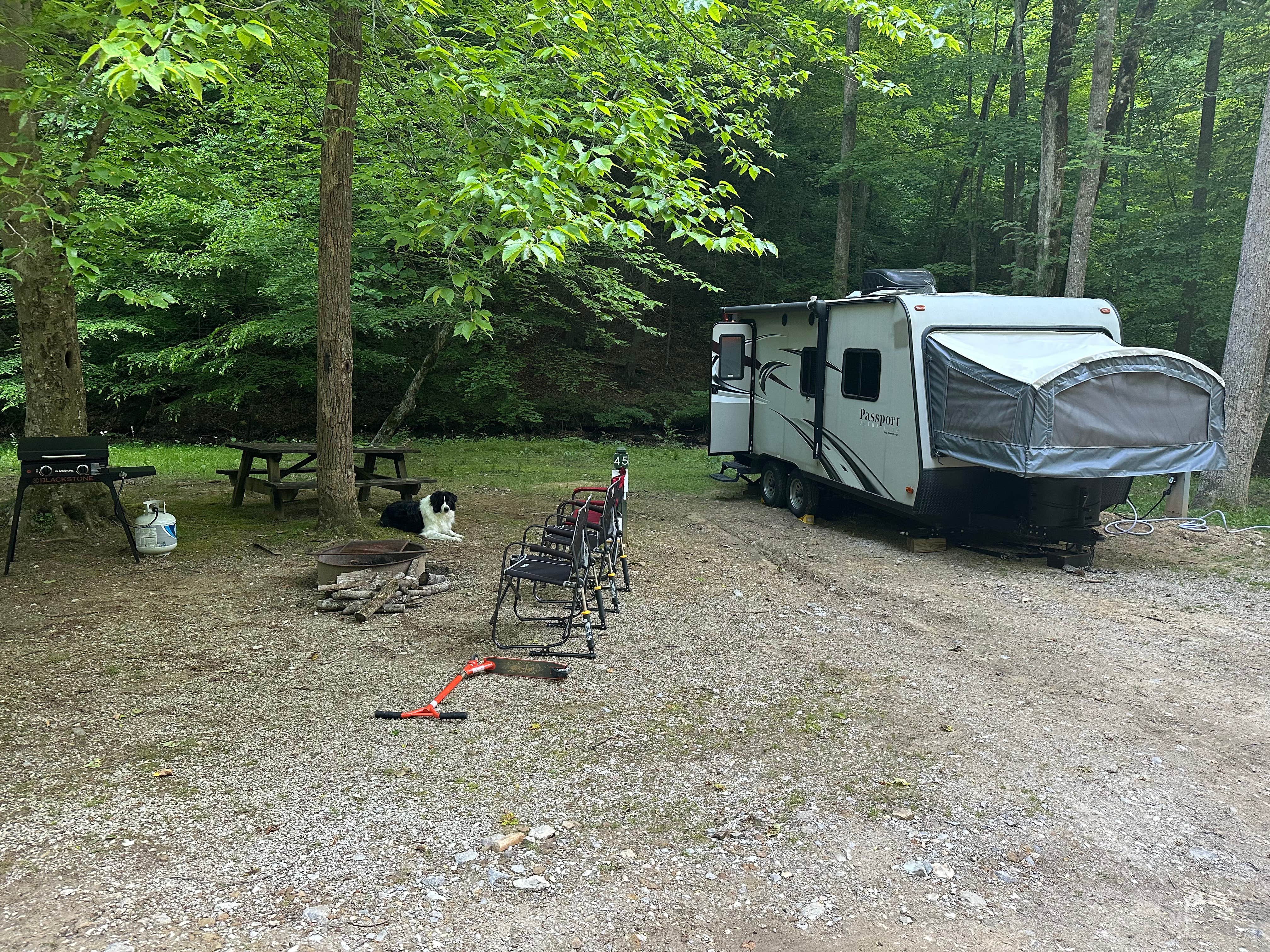 Hank M.'s photo at Kanawha State Forest near Logan, WV