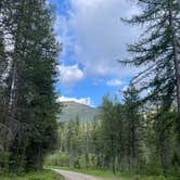 Review photo of Ryan Road Dispersed Camping by Michael S., May 30, 2023