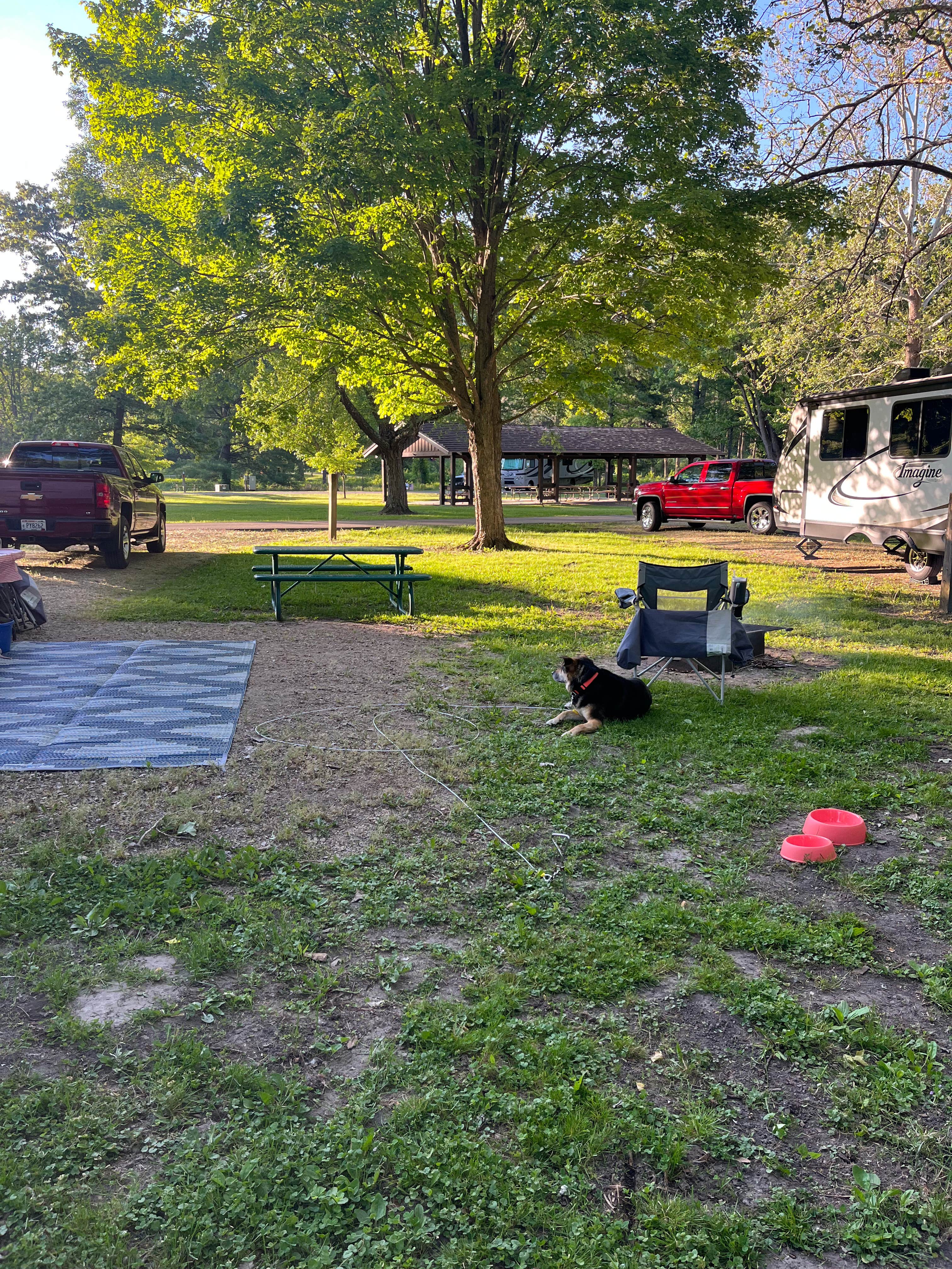 Hilary B.'s photo of camping with pets at Mississippi Palisades State Park Campground near Thomson, IL
