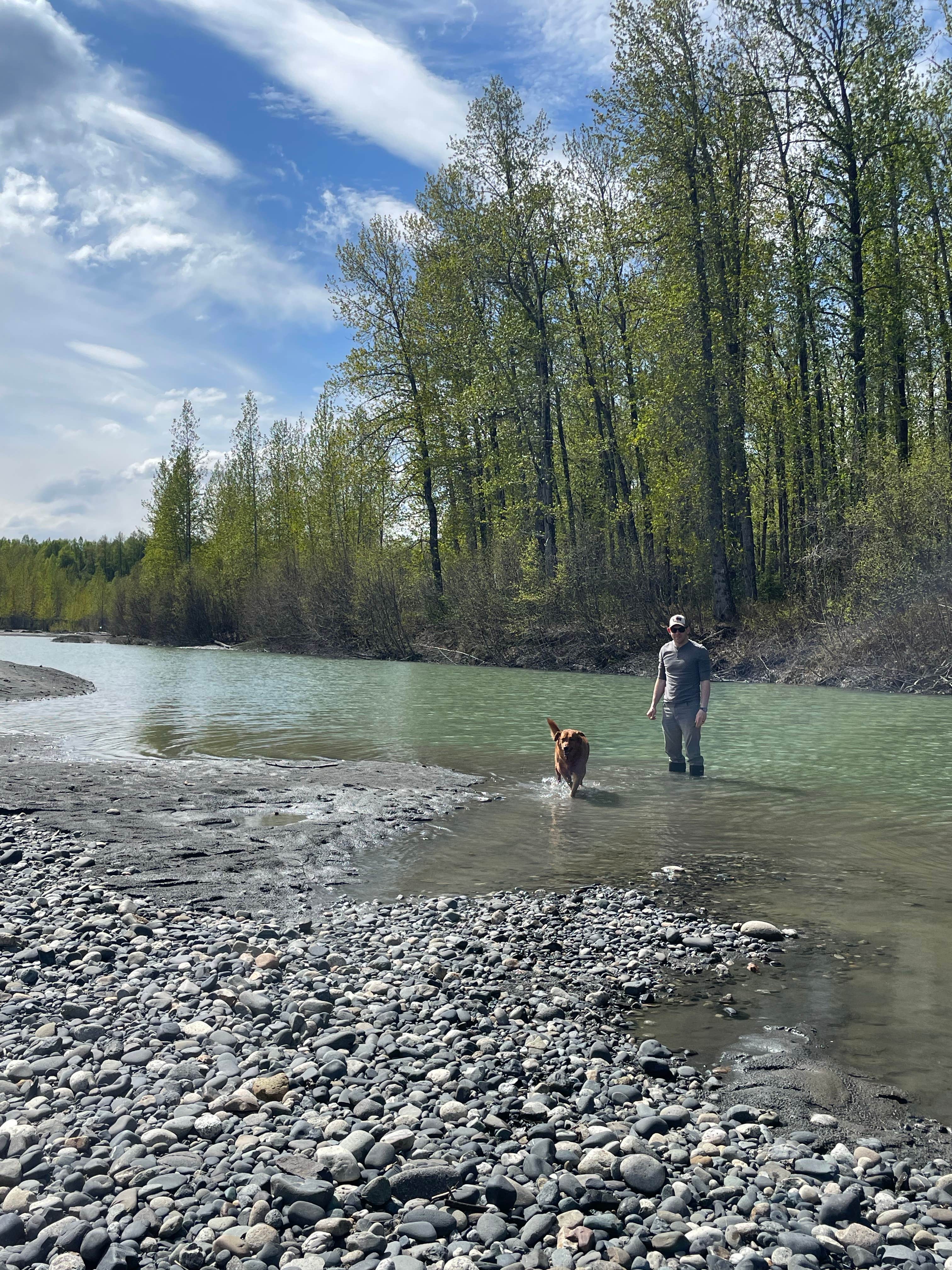 Camper-submitted photo at Susitna River Banks near Talkeetna, AK