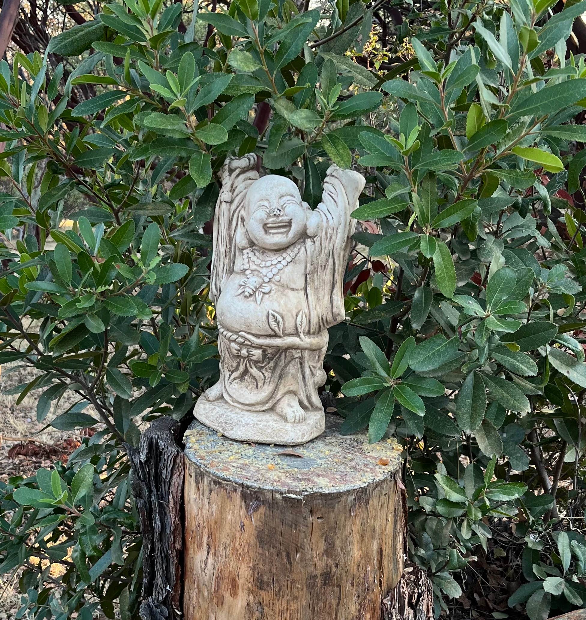 Camper-submitted photo at Laughing Buddha RV/Tent Camp near Rough and Ready, CA