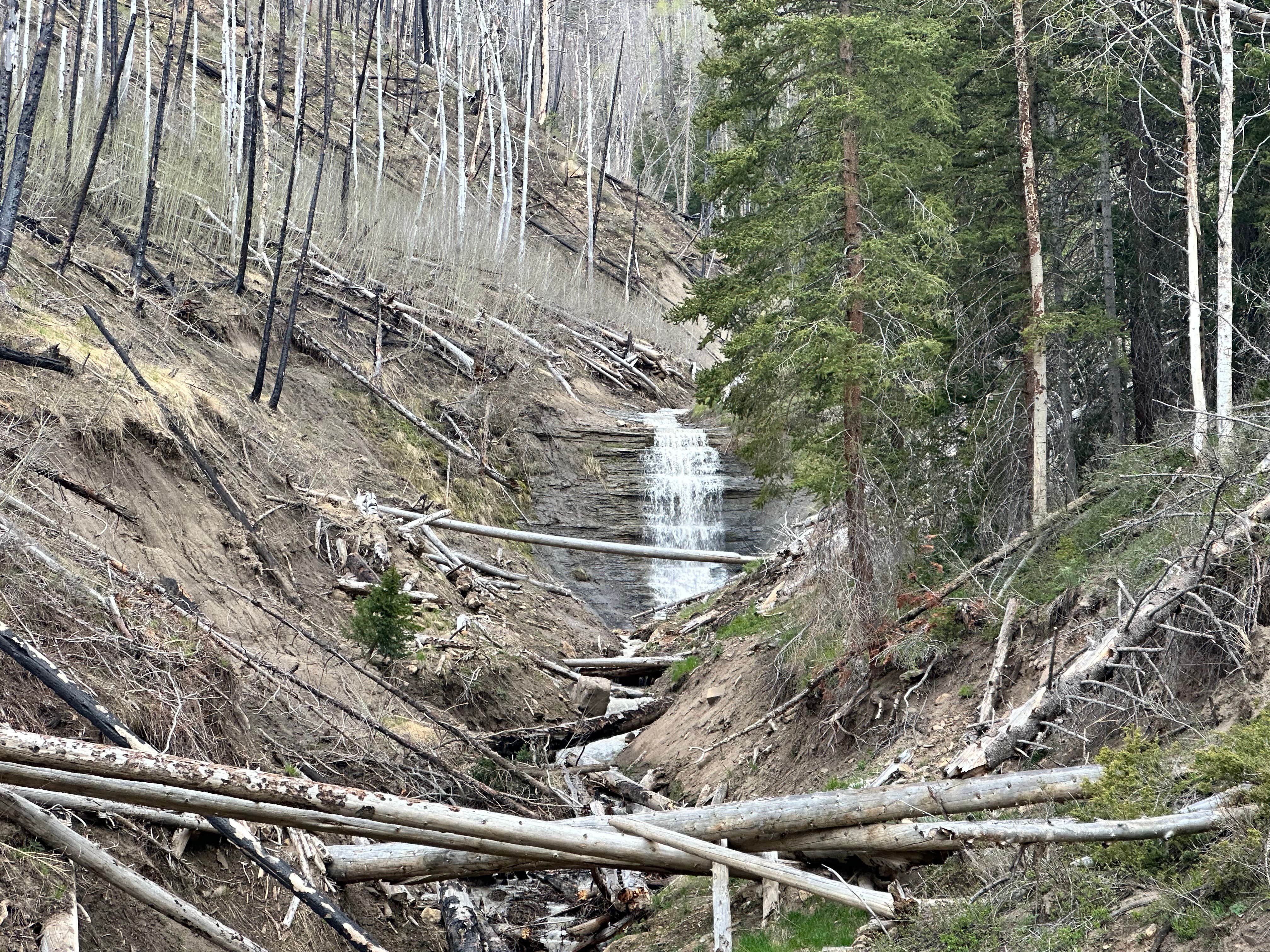 Camper submitted image from Bridges Campground - 3