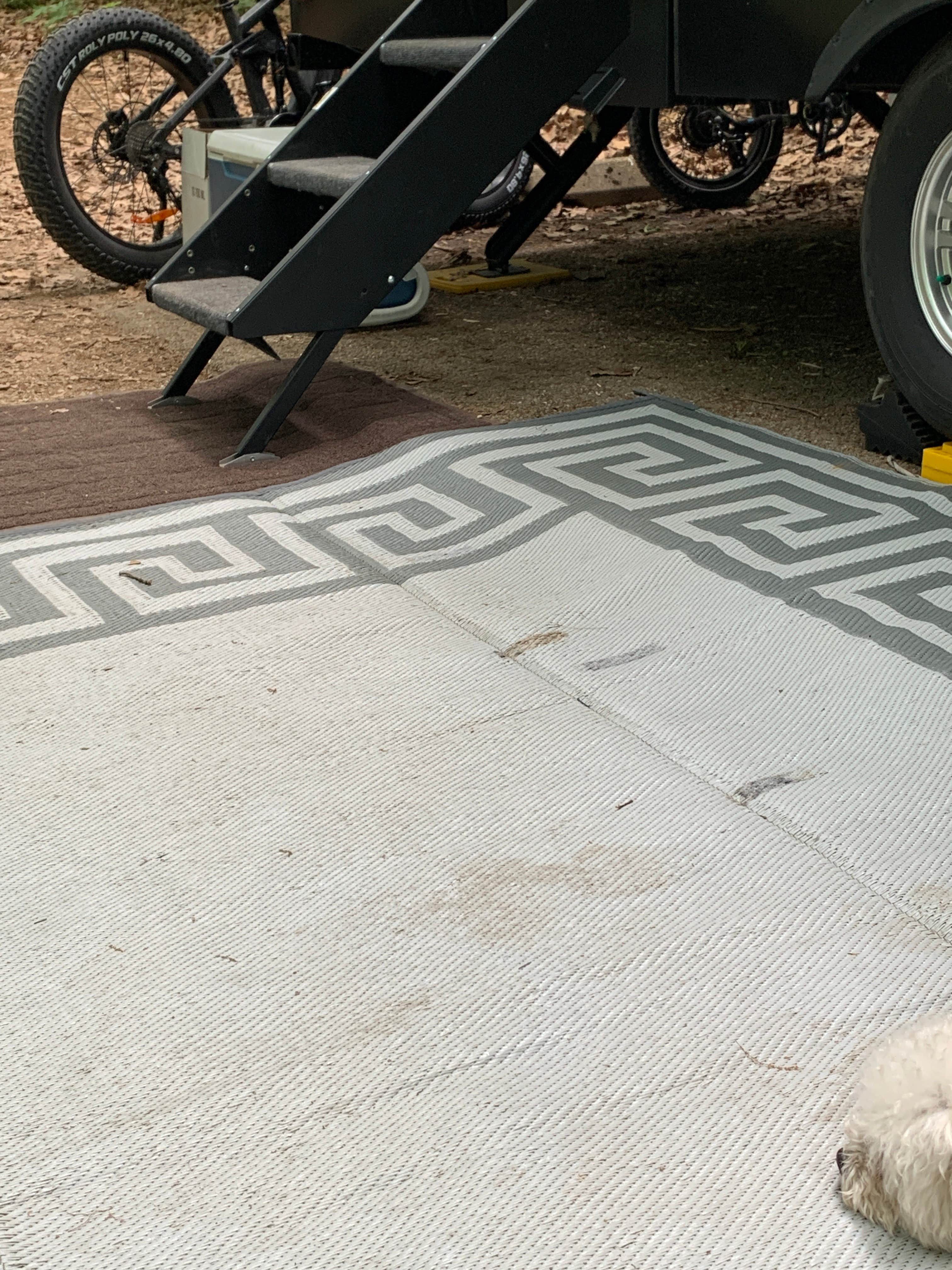 Laure D.'s photo of camping with pets at Codorus State Park Campground near Milford Mill, MD