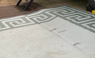 Laure D.'s photo of camping with pets at Codorus State Park Campground near Parkville, MD