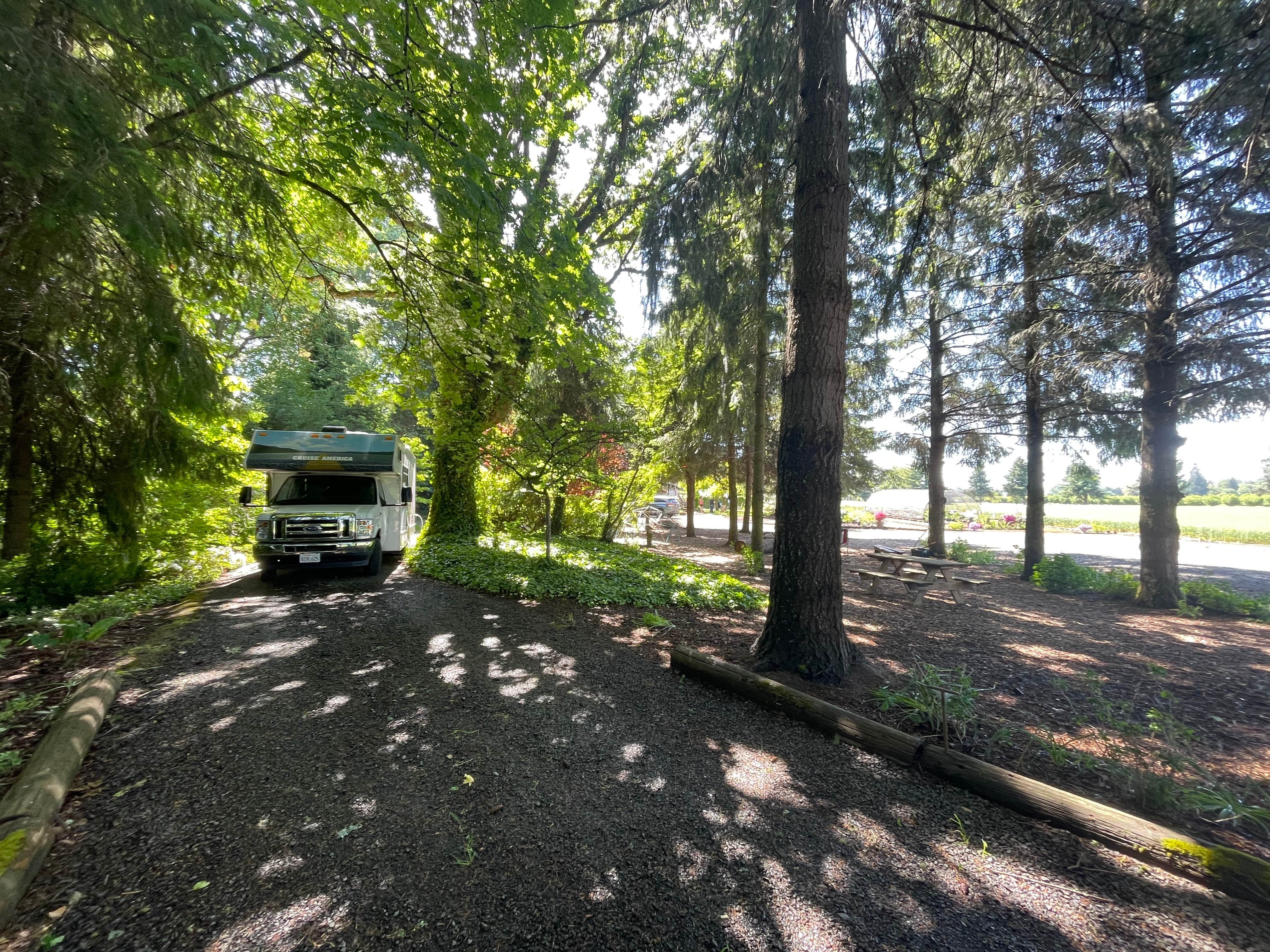 Camper submitted image from Hues Flower Farm & Nursery - 2