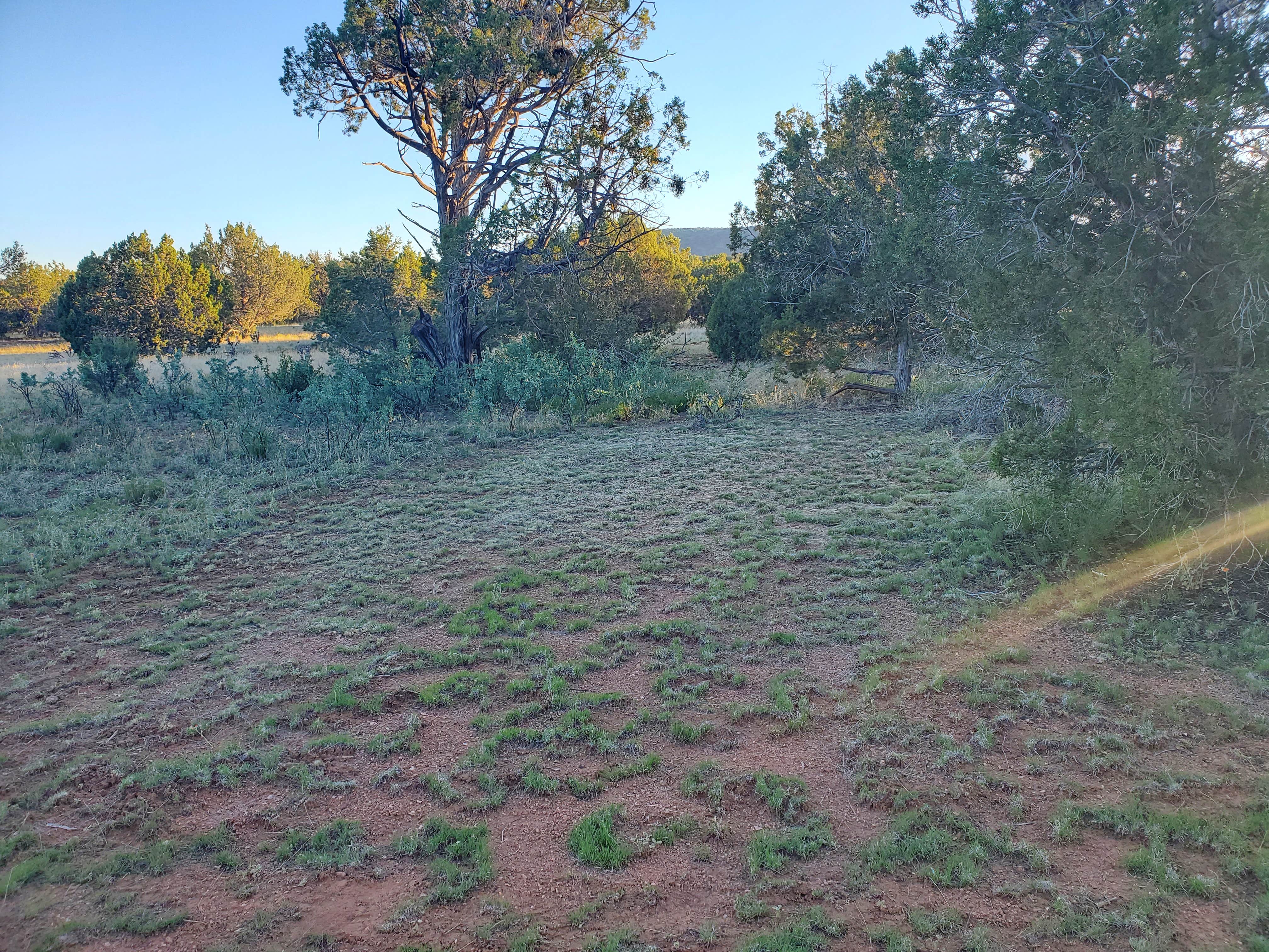 Camper-submitted photo at B-Rad Ranch near Peach Springs, AZ