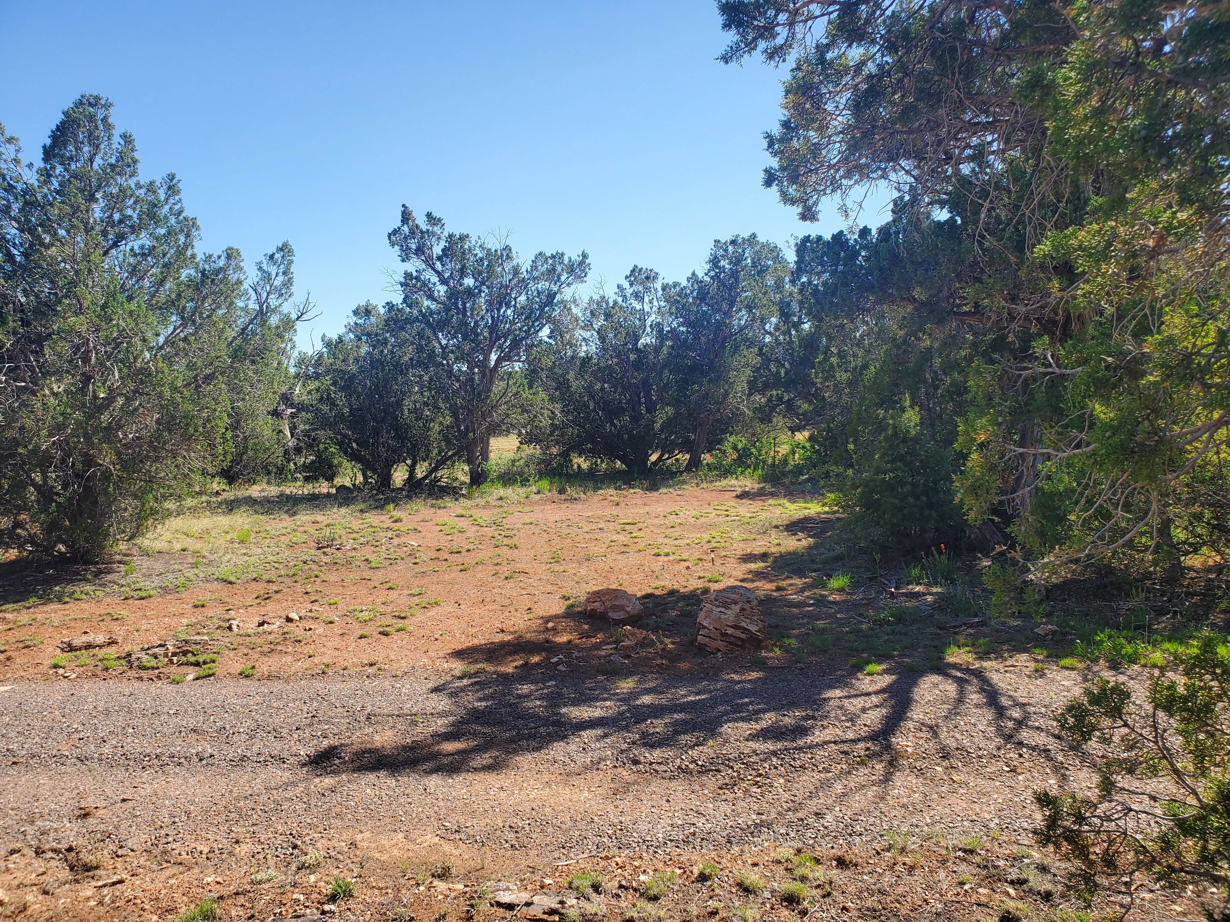 Camper-submitted photo at B-Rad Ranch near Peach Springs, AZ
