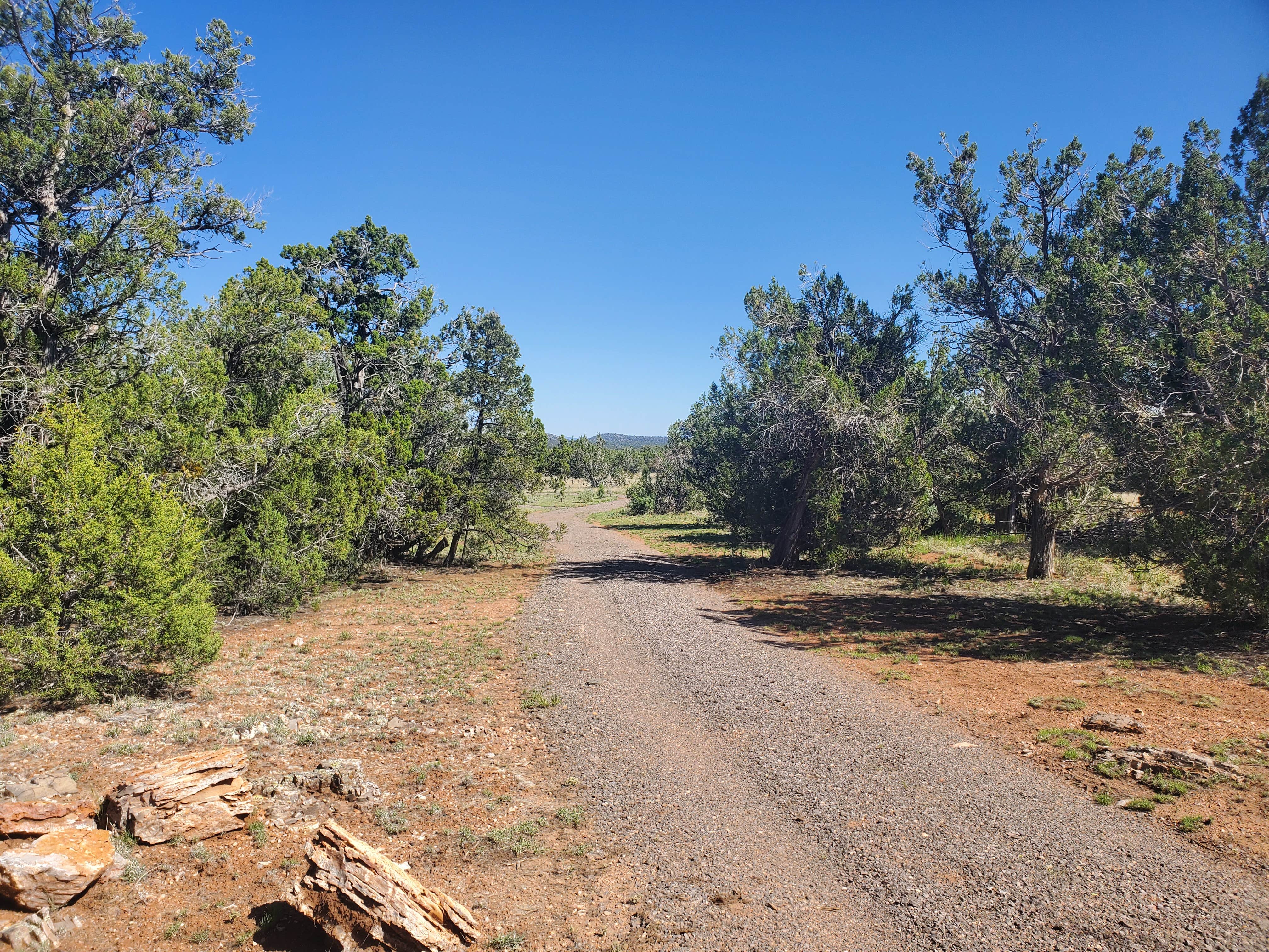 Camper-submitted photo at B-Rad Ranch near Peach Springs, AZ