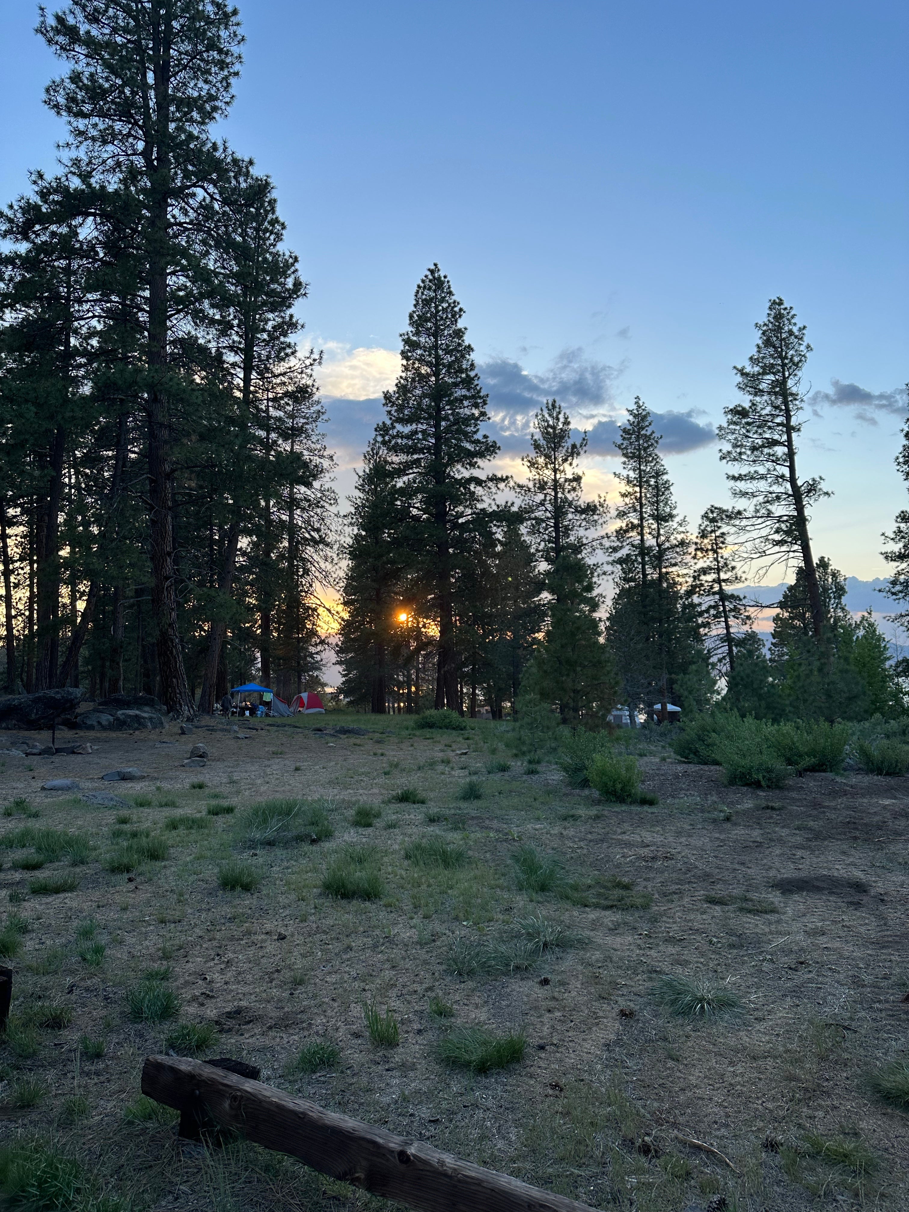 Camper submitted image from Aspen Grove Campground (CA) - 1