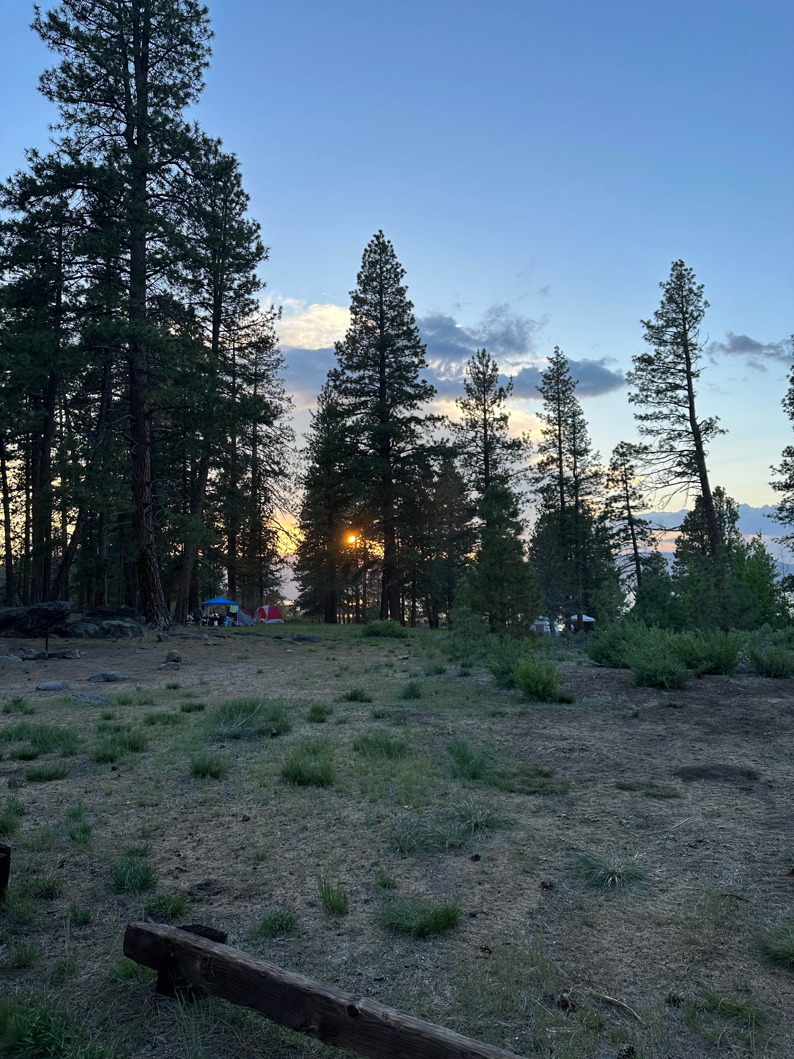 Camper submitted image from Aspen Grove Campground (CA) - 1