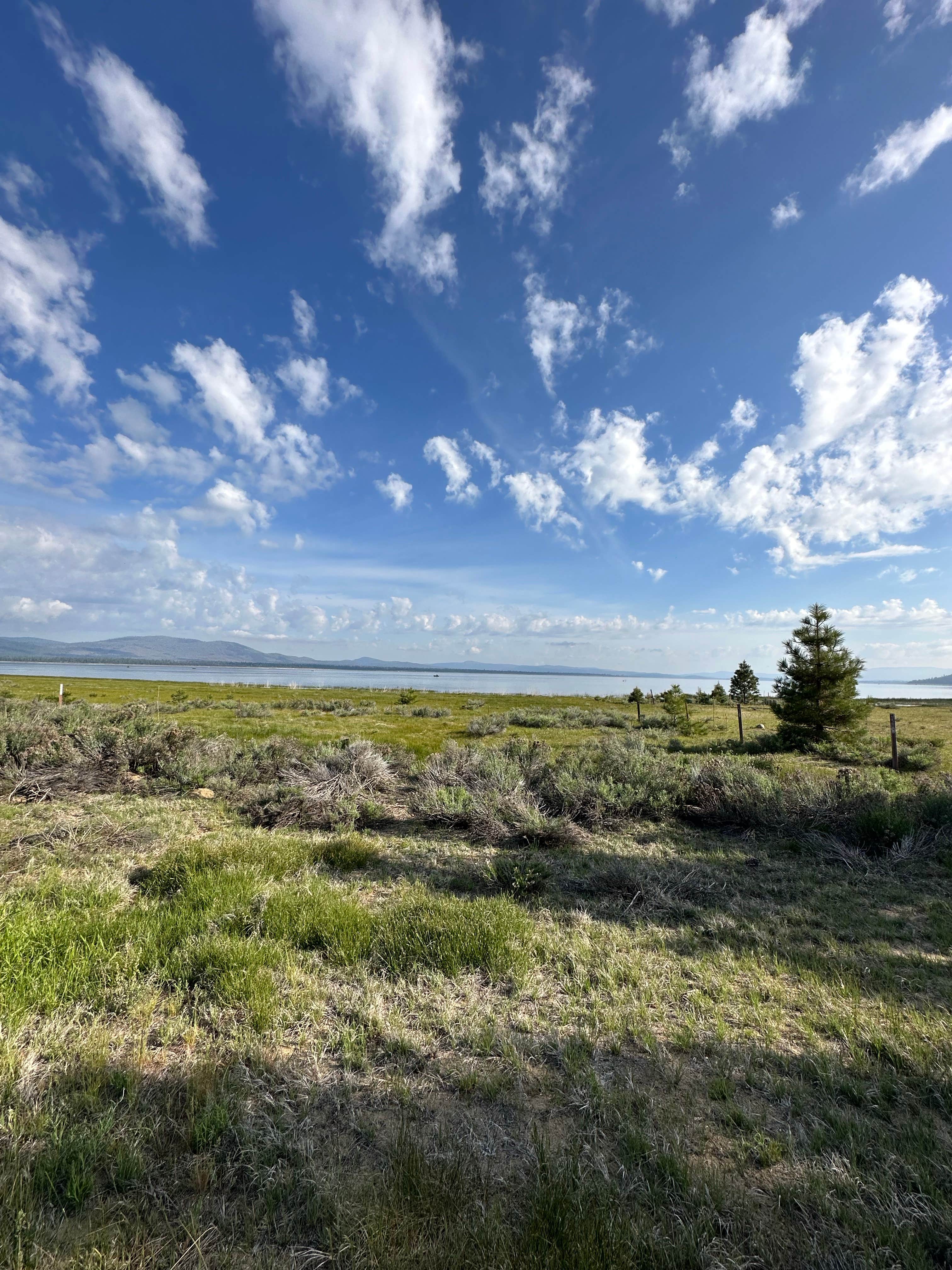 Camper-submitted photo at Aspen Grove Campground (CA) near Likely, CA
