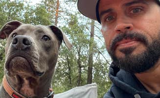 Kevin P.'s photo of camping with pets at Gold Country Campground Resort near New Hogan Lake