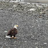 Review photo of Homer Spit Campground by Michael V., May 30, 2023