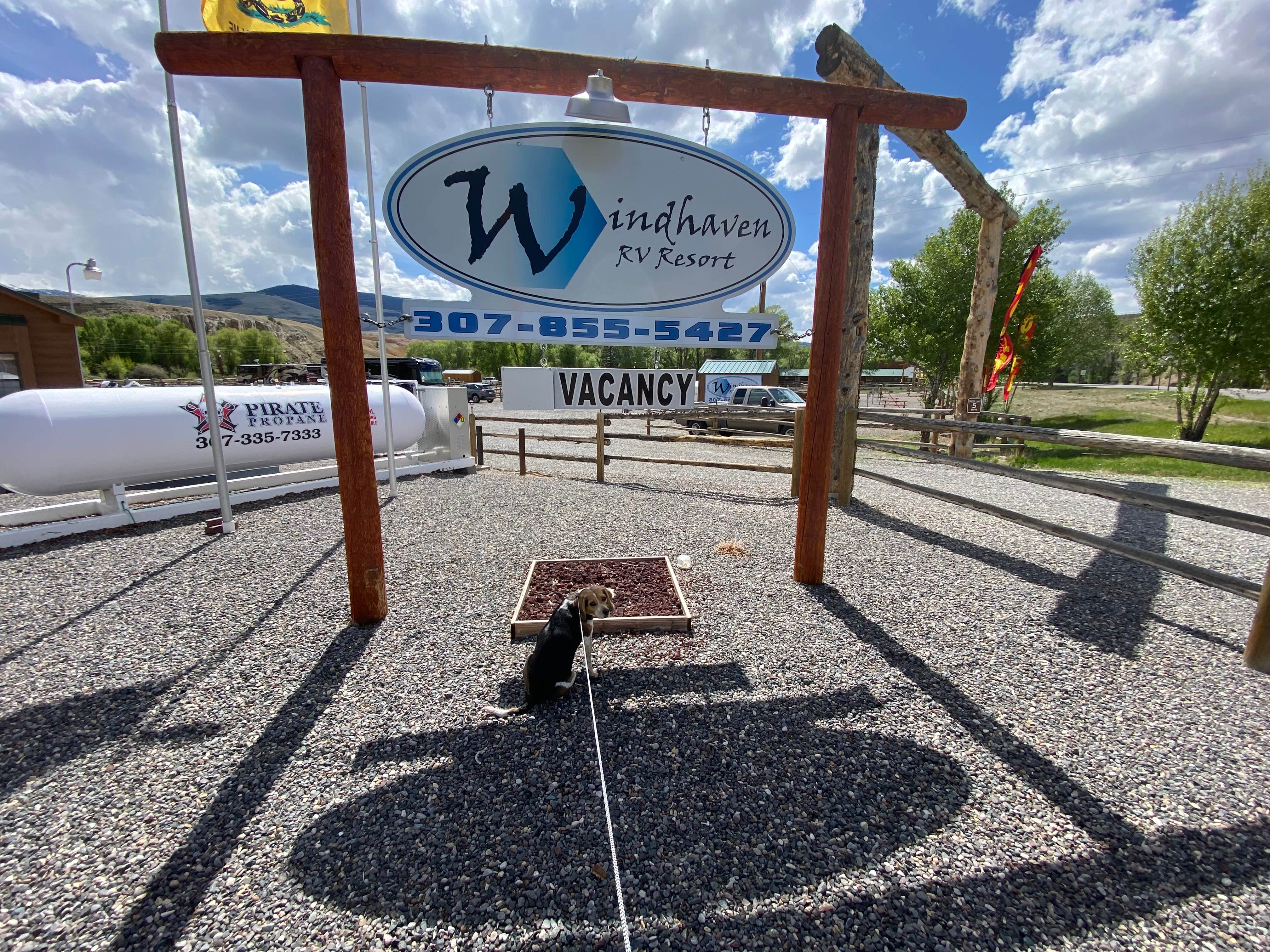 Melanie T.'s photo of camping with pets at Windhaven RV Resort near Dubois, WY