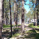 Review photo of Big Pine Campground by Paul B., May 30, 2023