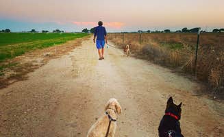 Ted N.'s photo of camping with pets at Red Barn RV Park near Artesia, NM