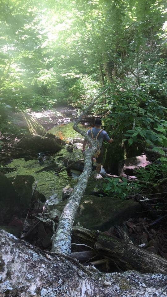 Camper-submitted photo at City of Houghton RV Park near Hubbell, MI