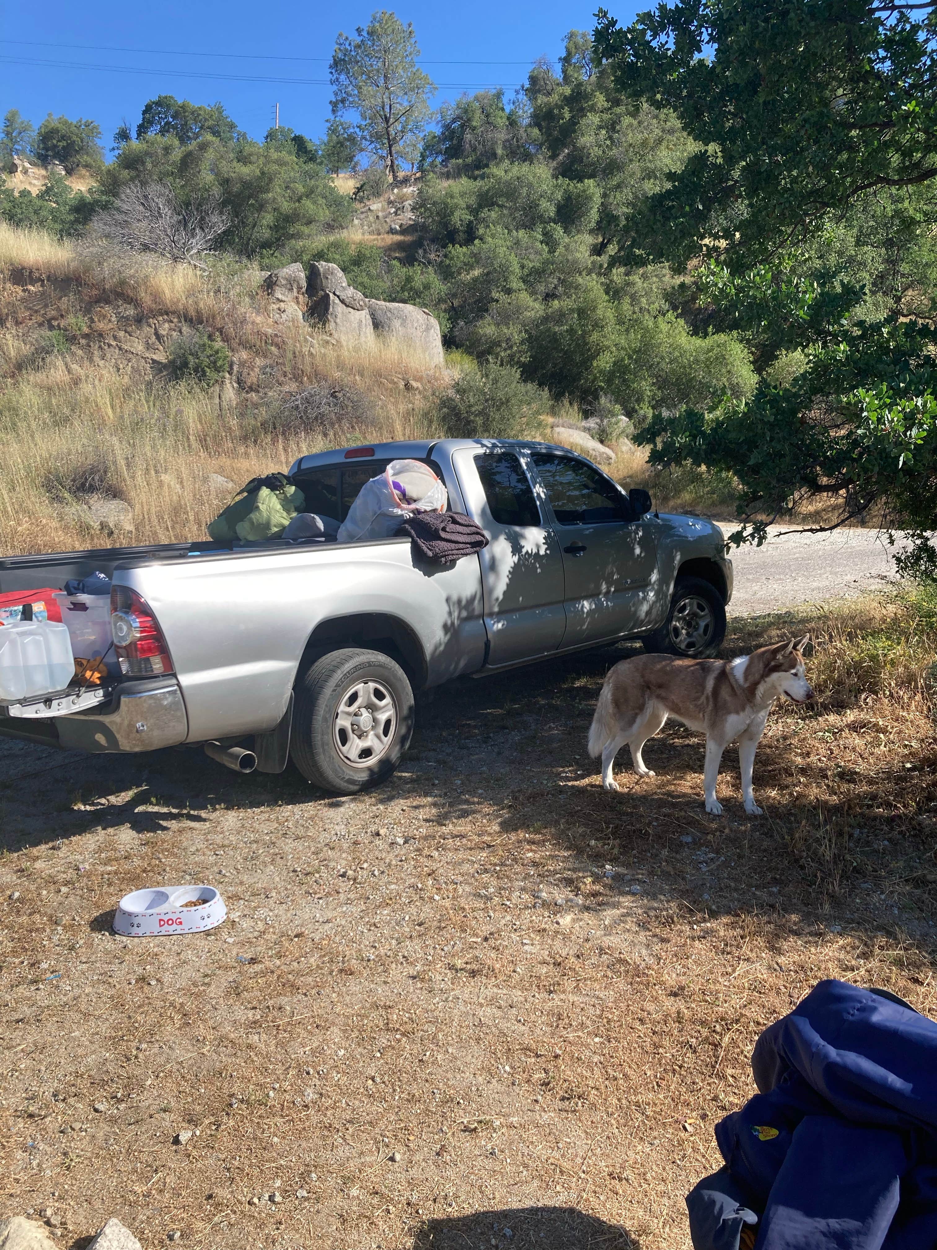 Miguel M.'s photo of camping with pets at Redinger Campground near Fresno, CA