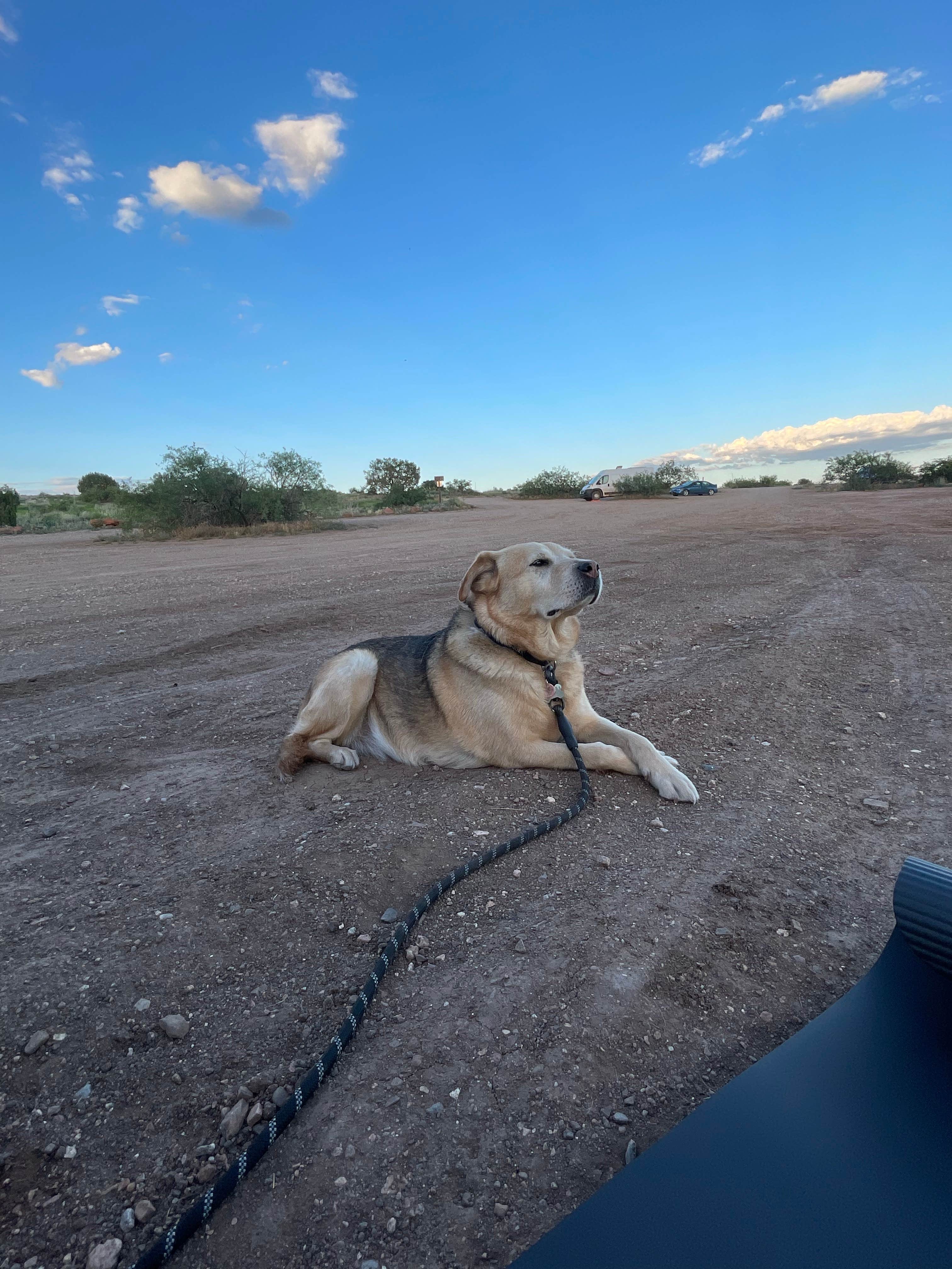 Camper submitted image from Surprise, West Sedona Designated Dispersed Camping - 2