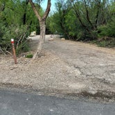 Review photo of Rio Grande Village Group Campground — Big Bend National Park by Shana D., May 30, 2023