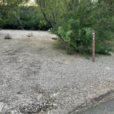 Review photo of Rio Grande Village Group Campground — Big Bend National Park by Shana D., May 30, 2023