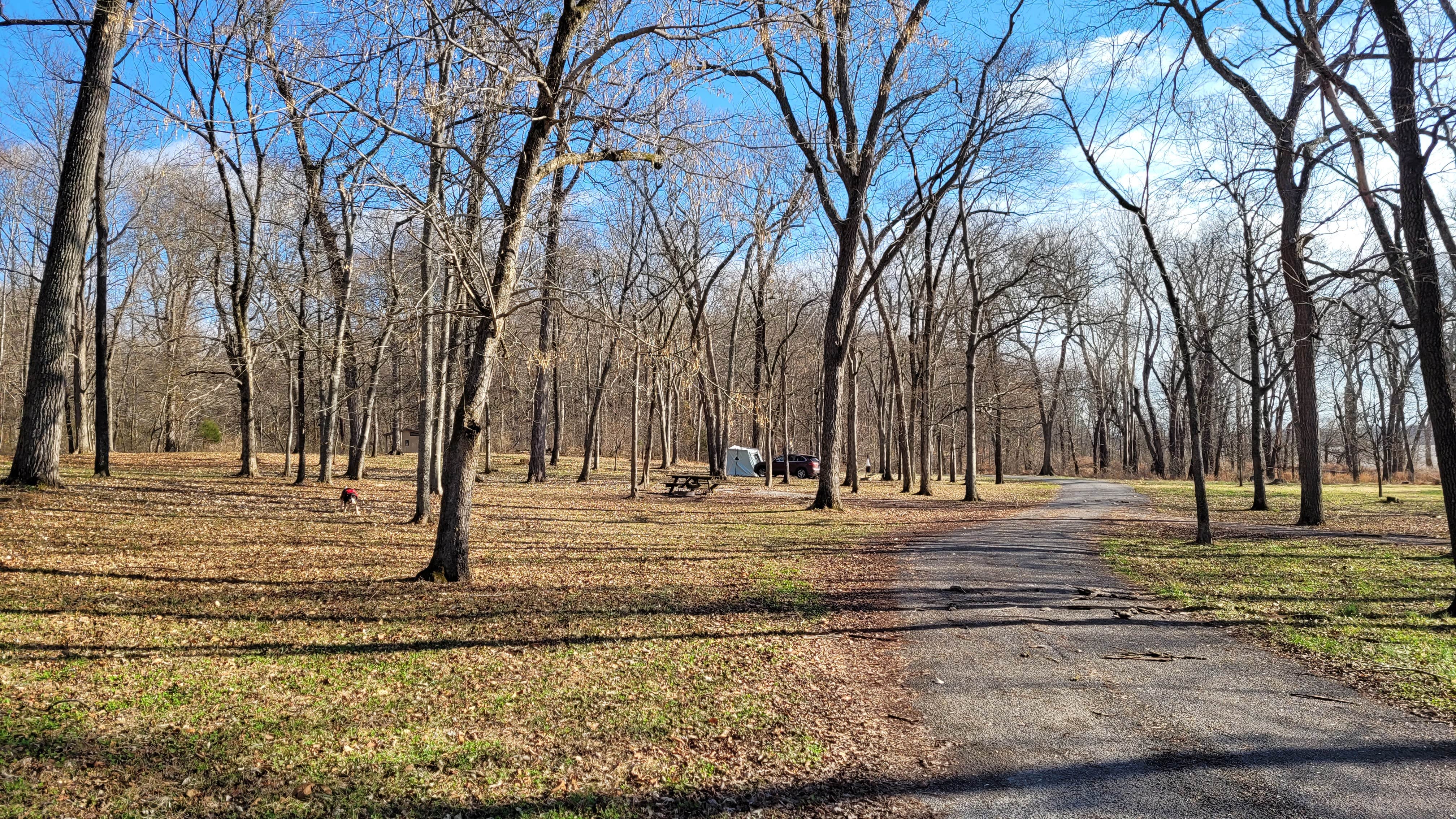 Christopher H.'s photo of camping with pets at Tower Rock Campground near Herod, IL