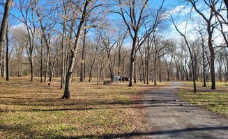 Christopher H.'s photo of camping with pets at Tower Rock Campground near Mount Vernon, KY
