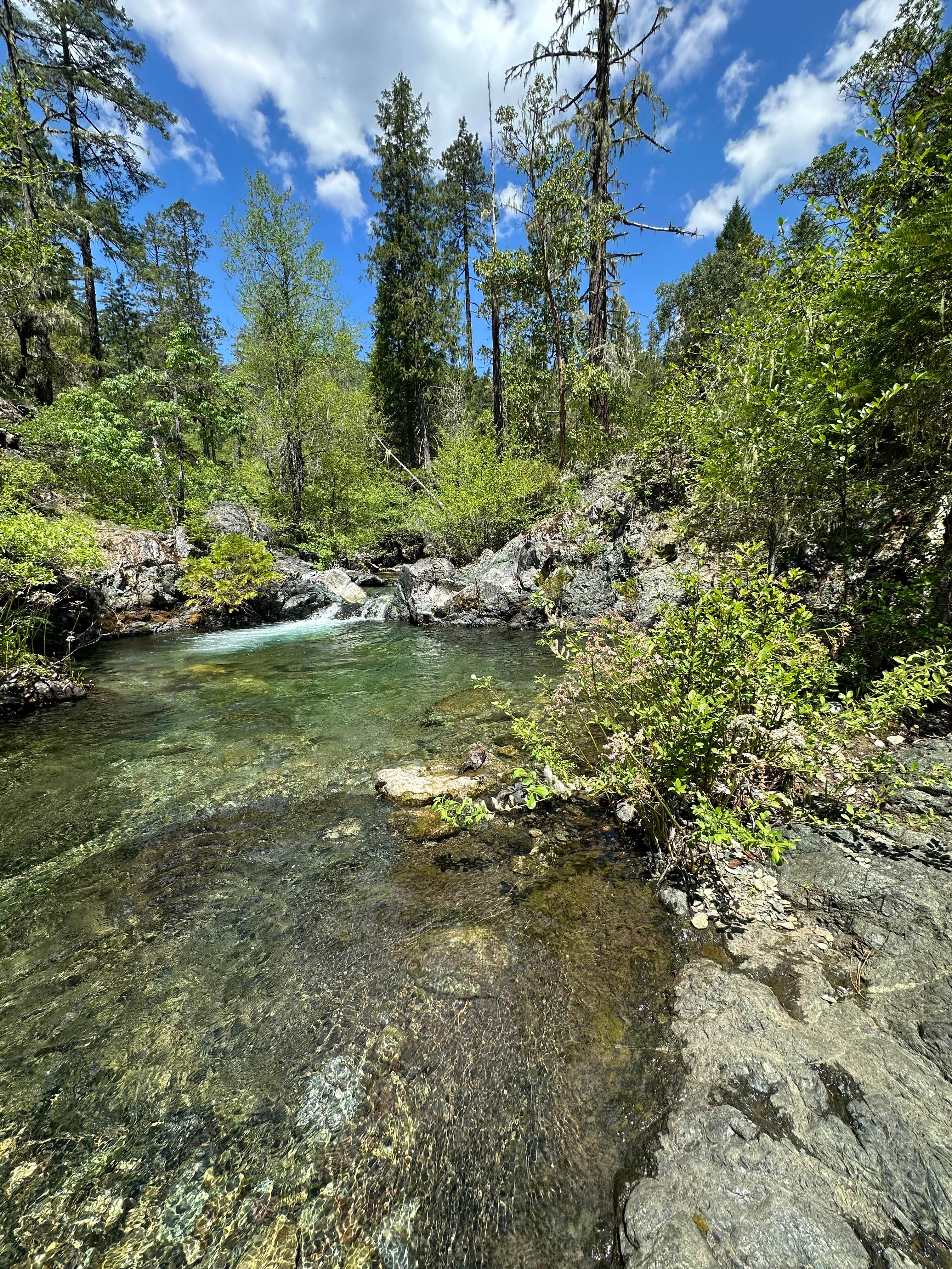 Camper submitted image from Josephine Campground - 5