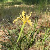 Review photo of Josephine Campground by Bill T., May 30, 2023