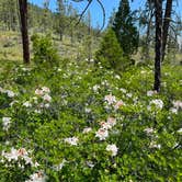 Review photo of Josephine Campground by Bill T., May 30, 2023