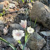 Review photo of Josephine Campground by Bill T., May 30, 2023