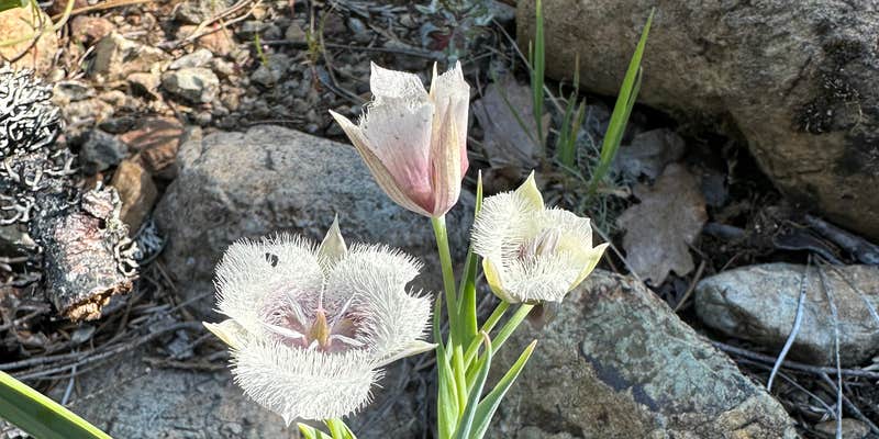 Camper submitted image from Josephine Campground
