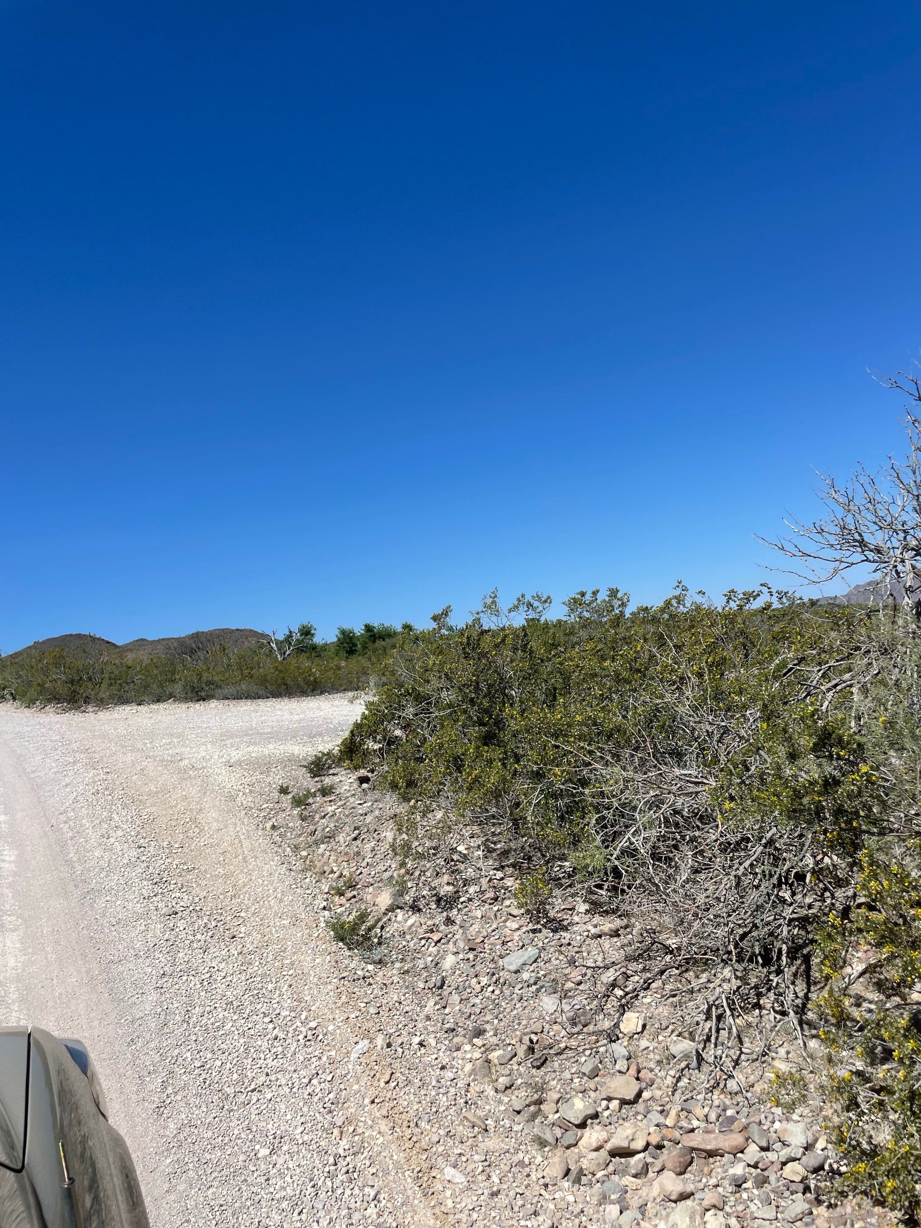 Camper submitted image from Government Springs (GH1) — Big Bend National Park - 3