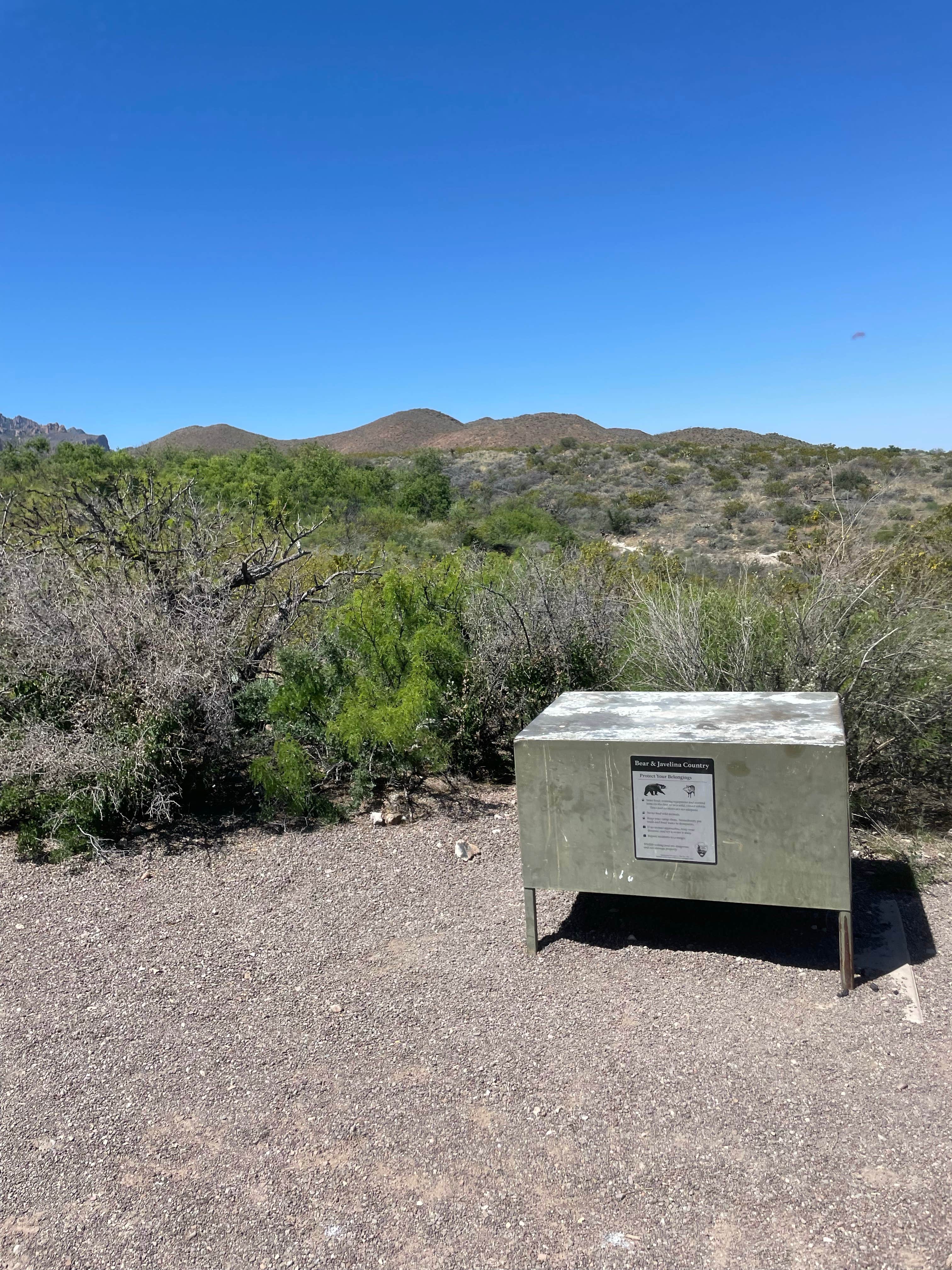 Camper submitted image from Government Springs (GH1) — Big Bend National Park - 4