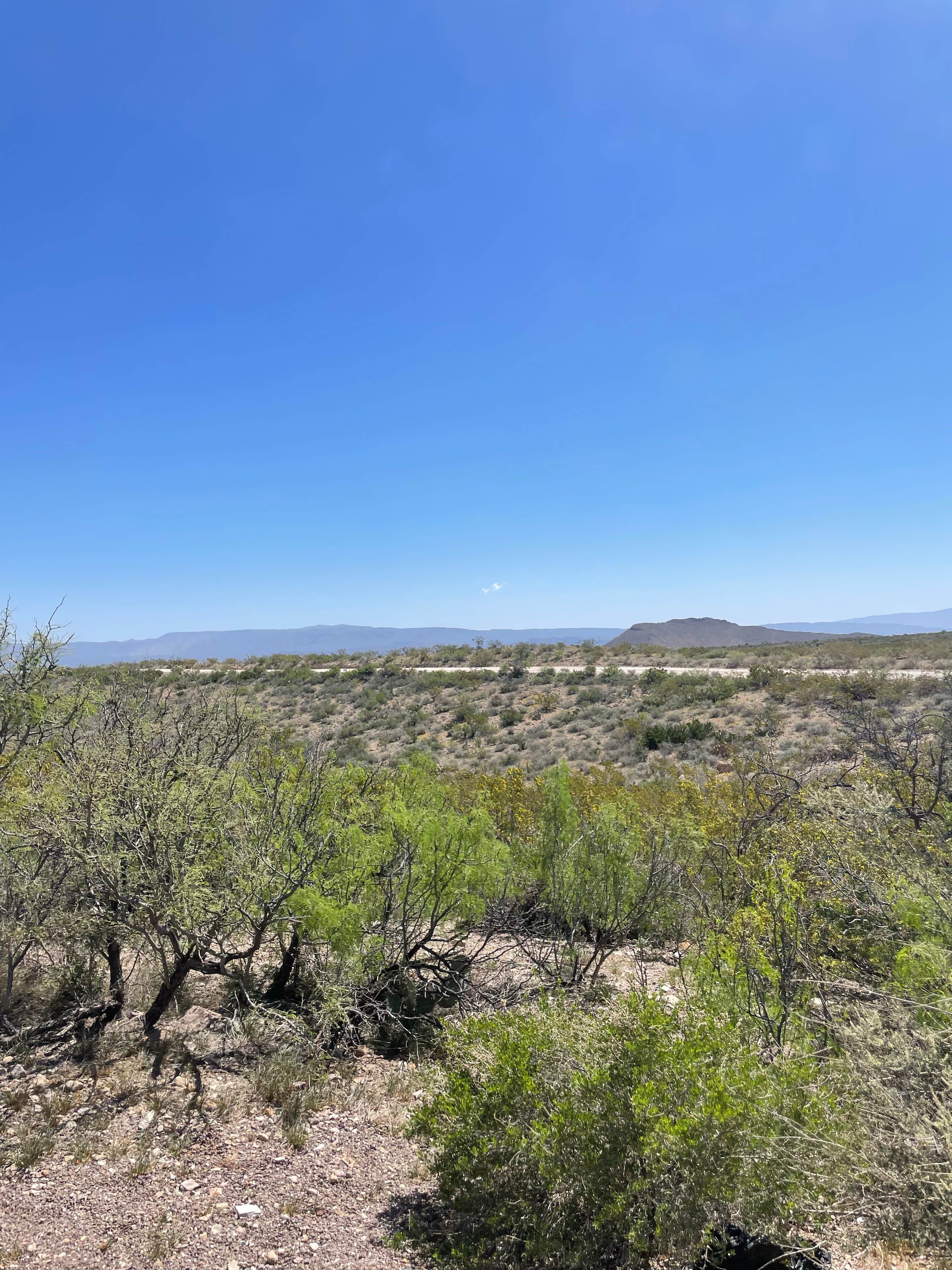 Camping near Croton Springs Primitive Roadside Campsite — Big Bend National Park: Government Springs (GH1) — Big Bend National Park, Big Bend National Park, Texas