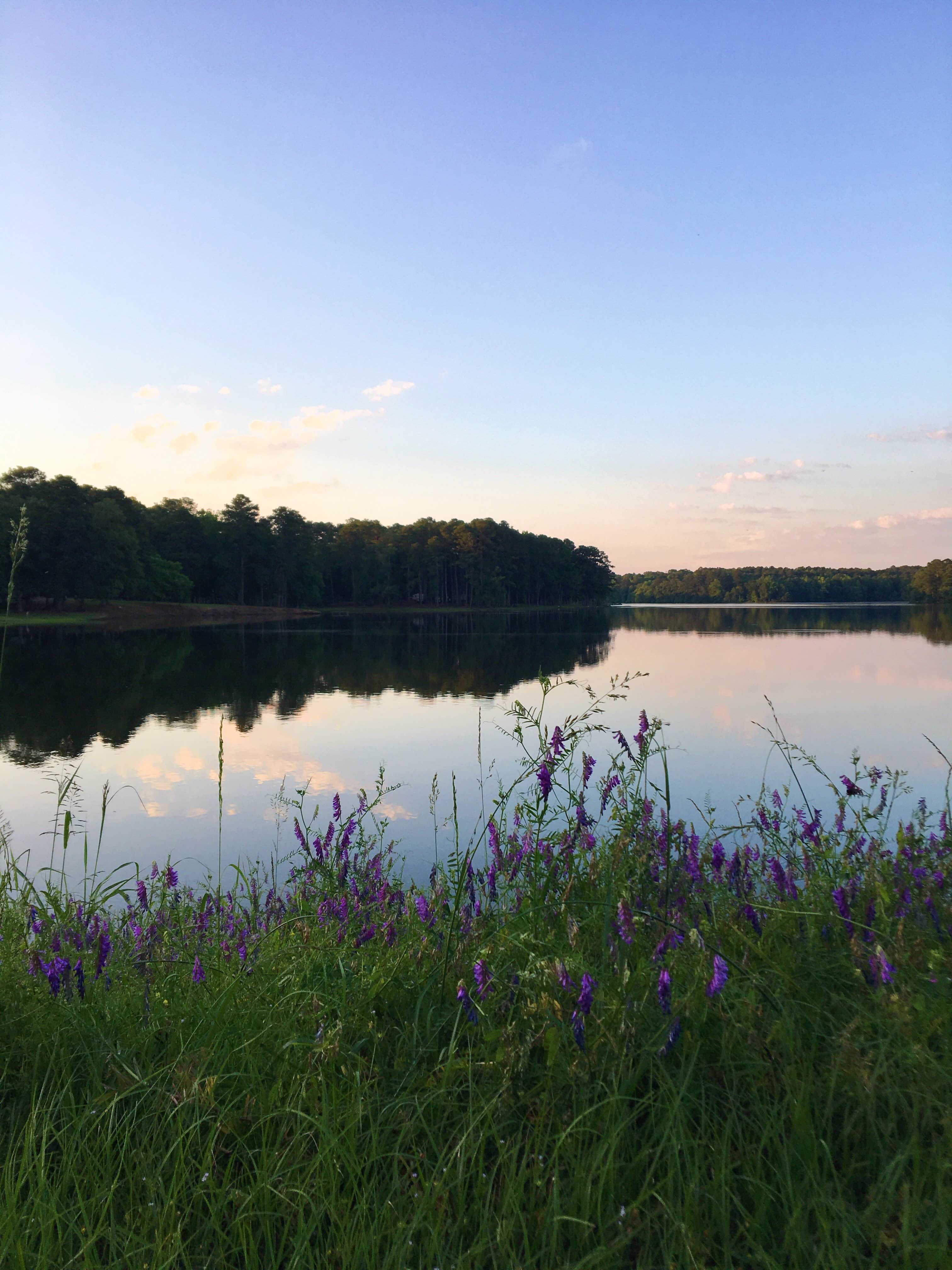 Camper submitted image from Lake Lowndes State Park Campground - 5