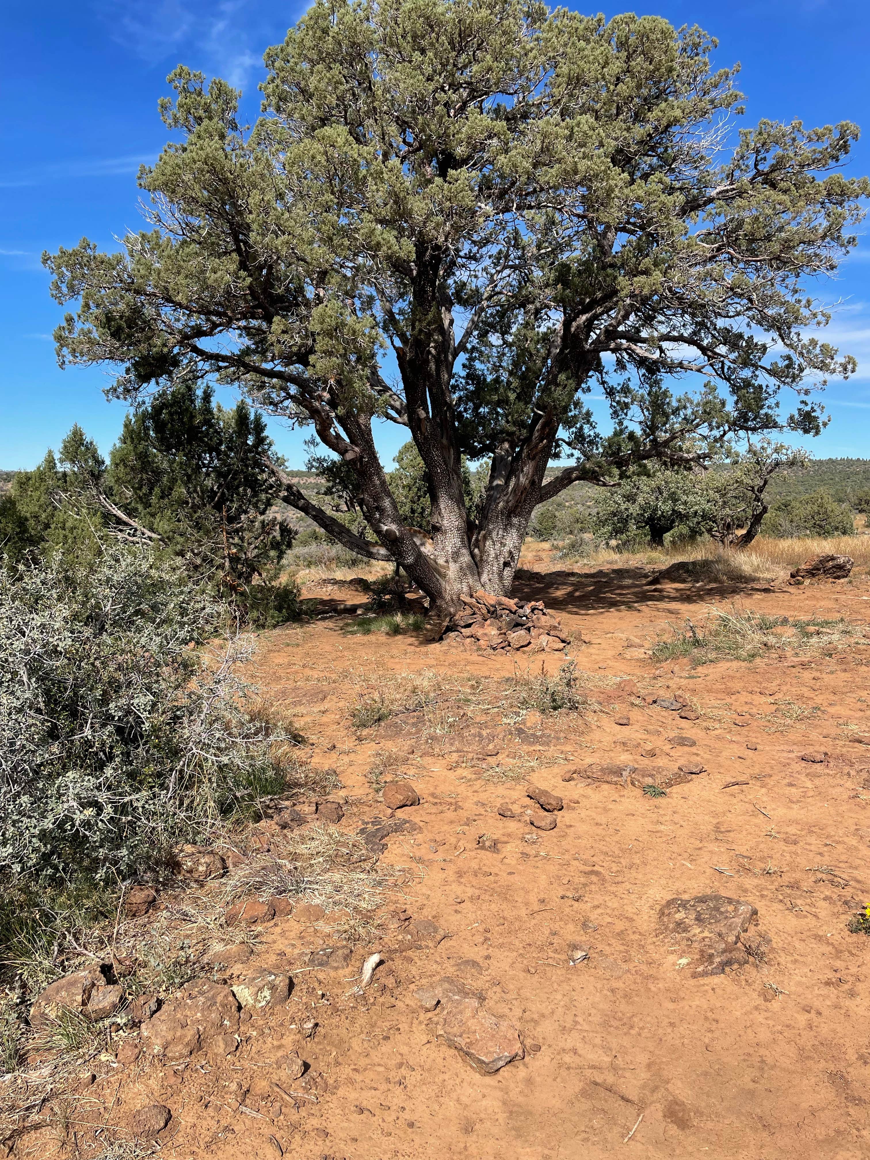 Camper-submitted photo at Schnebly Hill Road near Camp Verde, AZ
