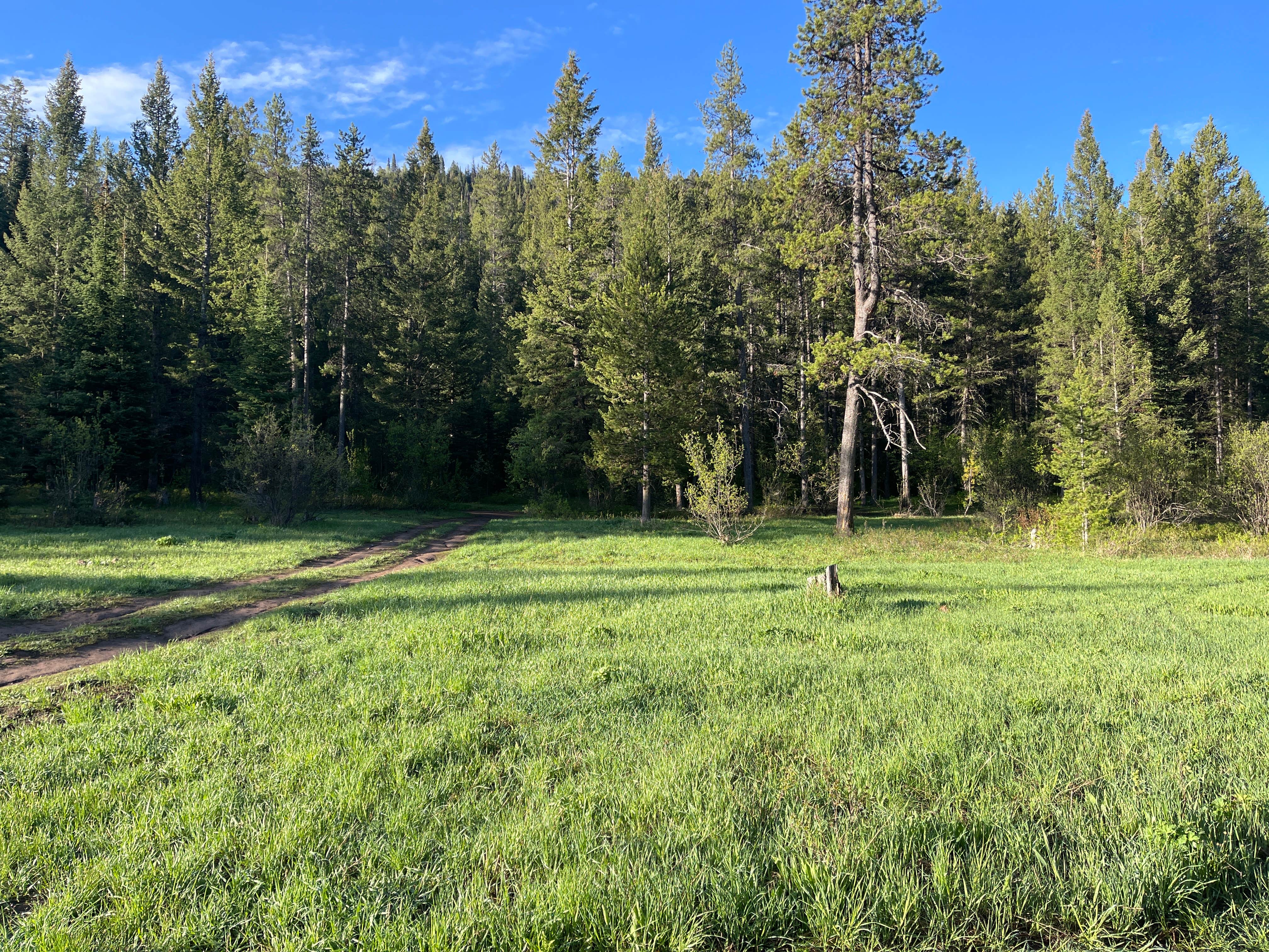 Camper-submitted photo at Moose Creek Trailhead Dispersed Area near Teton Village, WY