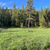 Review photo of Moose Creek Trailhead Dispersed Area by Michael S., May 30, 2023