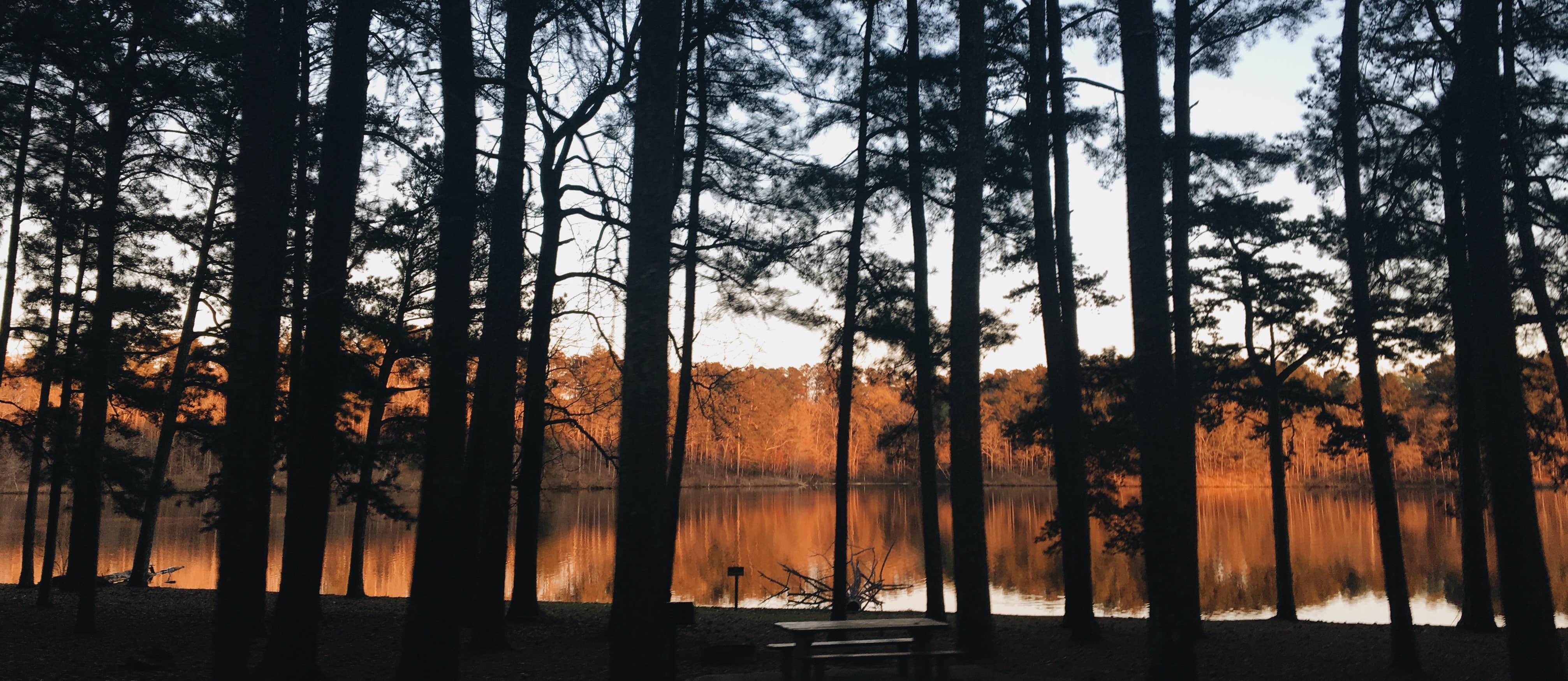 Camper submitted image from Lake Lowndes State Park Campground - 2