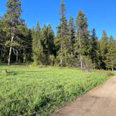Review photo of Moose Creek Trailhead Dispersed Area by Michael S., May 30, 2023