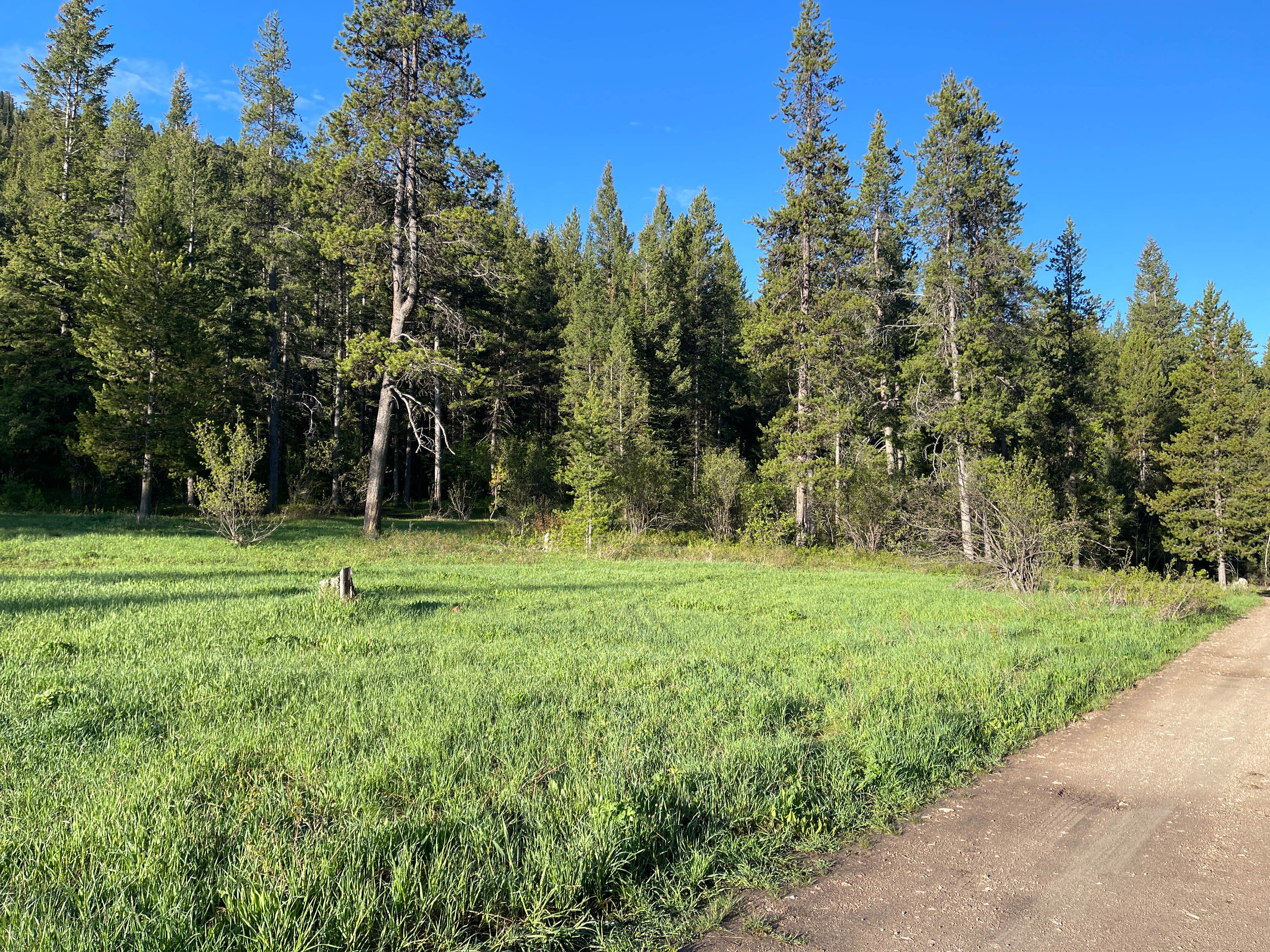 Camper submitted image from Moose Creek Trailhead Dispersed Area - 4