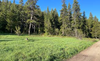 Michael S.'s photo of camping with pets at Moose Creek Trailhead Dispersed Area near Victor, ID