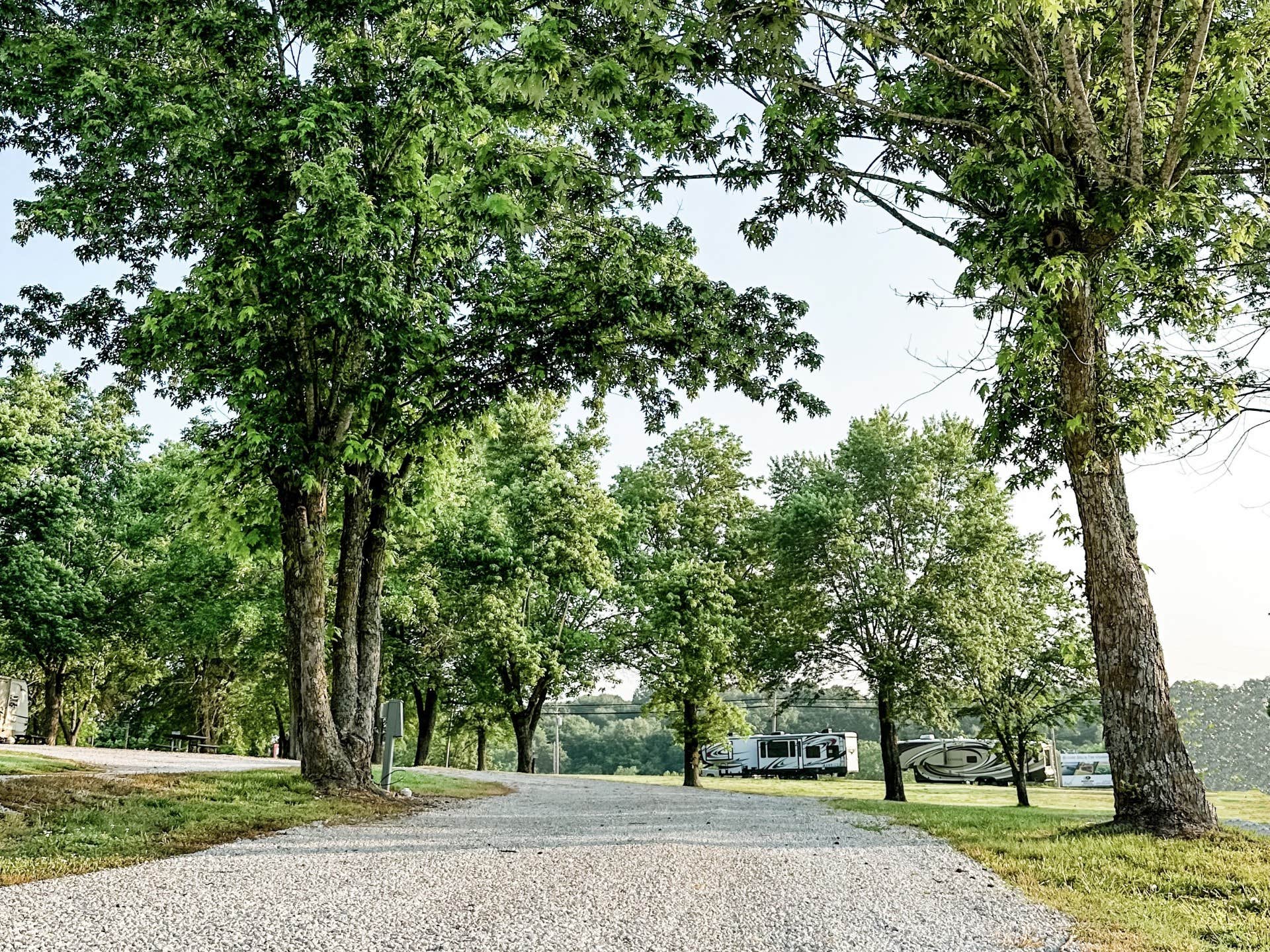 Camper-submitted photo at Harrison RV Park & Campground near Lakeview, AR