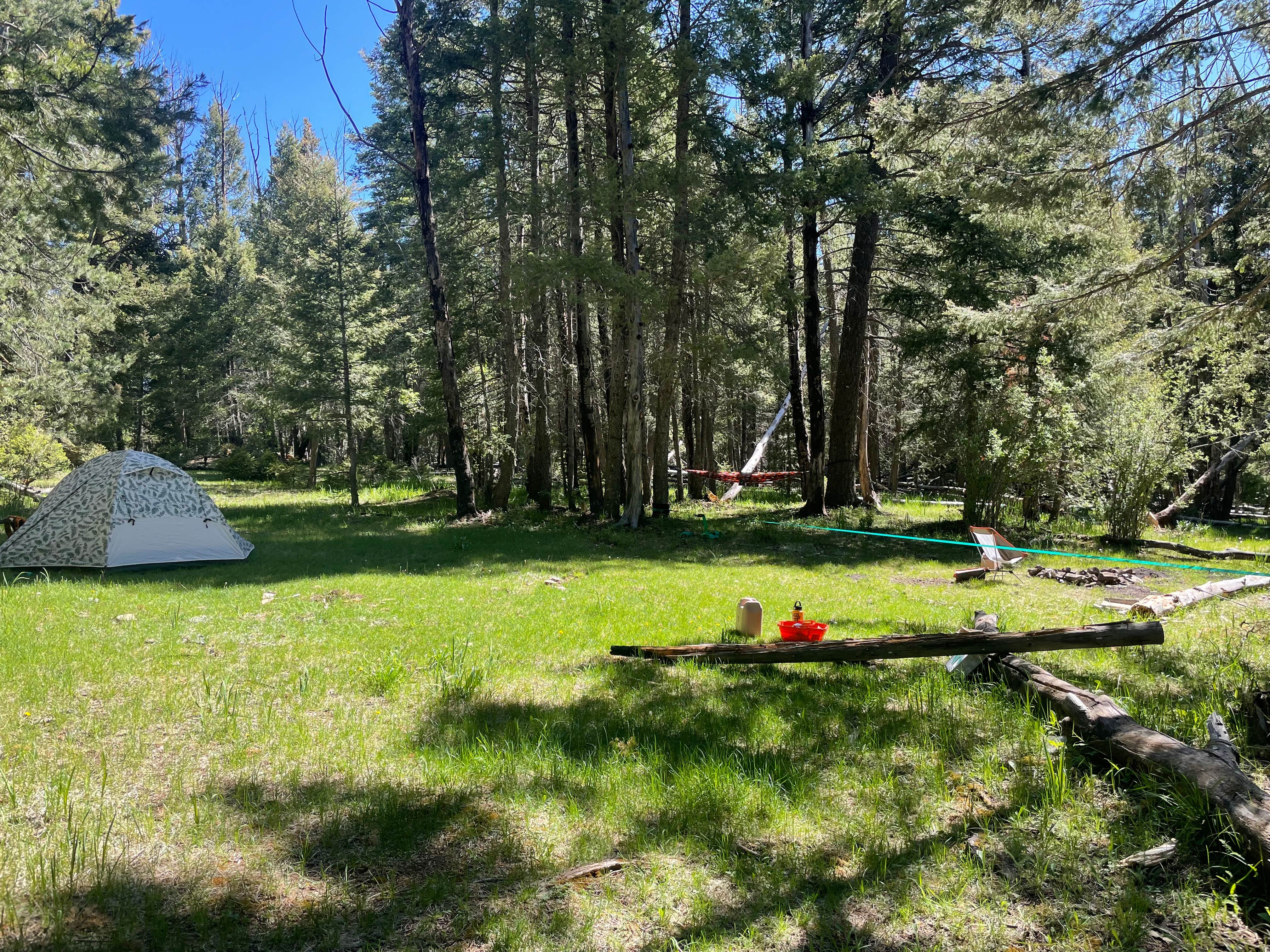 Carson P.'s photo at Upper Karr Canyon Campground near Timberon, NM
